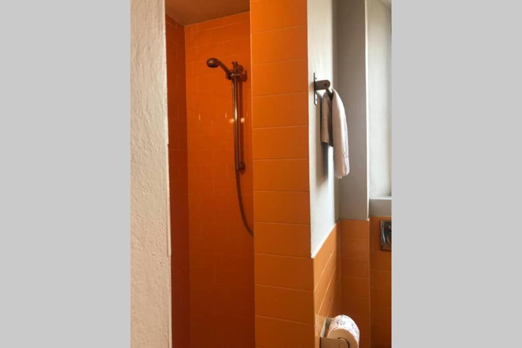 Sunny Top Floor In San Frediano Florencia Exterior foto